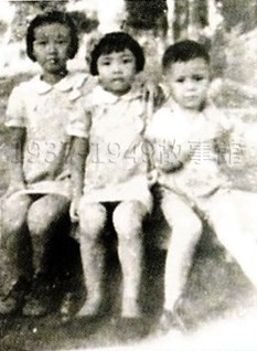 圖一 1947年,初抵大肚鄉的作者三姊弟。