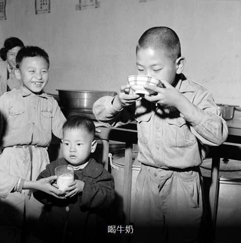 圖三 美援時期喝小學生溫香牛奶的點滴回憶。(來源:國家發展委員會檔案管理局,國家檔案精選照片)