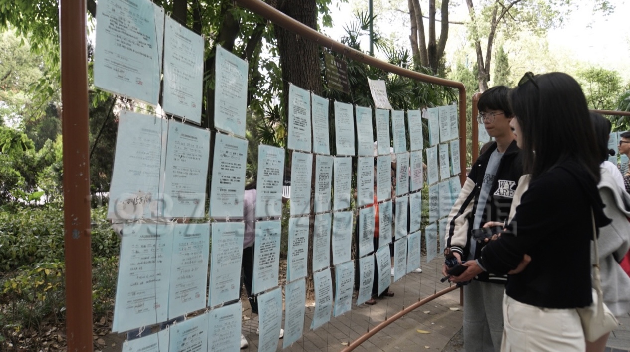 圖九 成都人民公園的「相親角」,是全國第三大,男女相親廣告分別貼滿好幾面大看板。